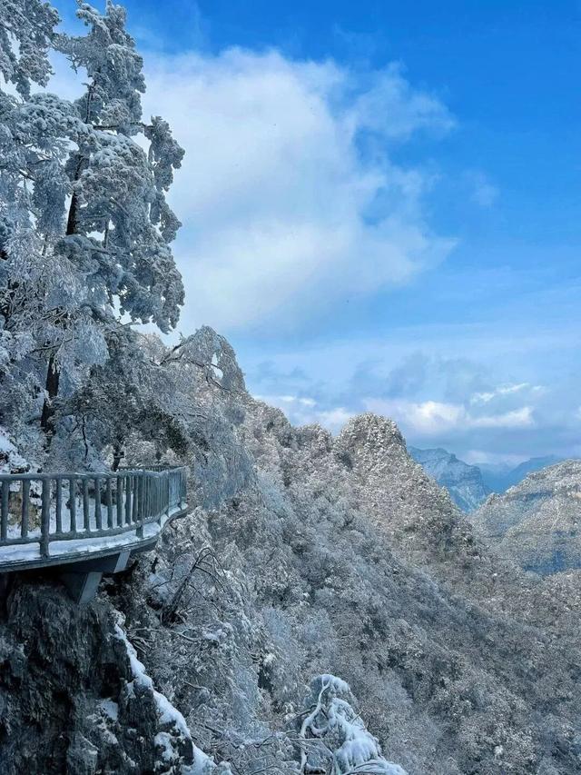 光雾山什么时候下雪⁉️「官方预测攻略」来咯~