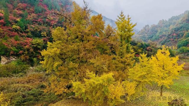 嘉陵江畔，静观一季秋色流转