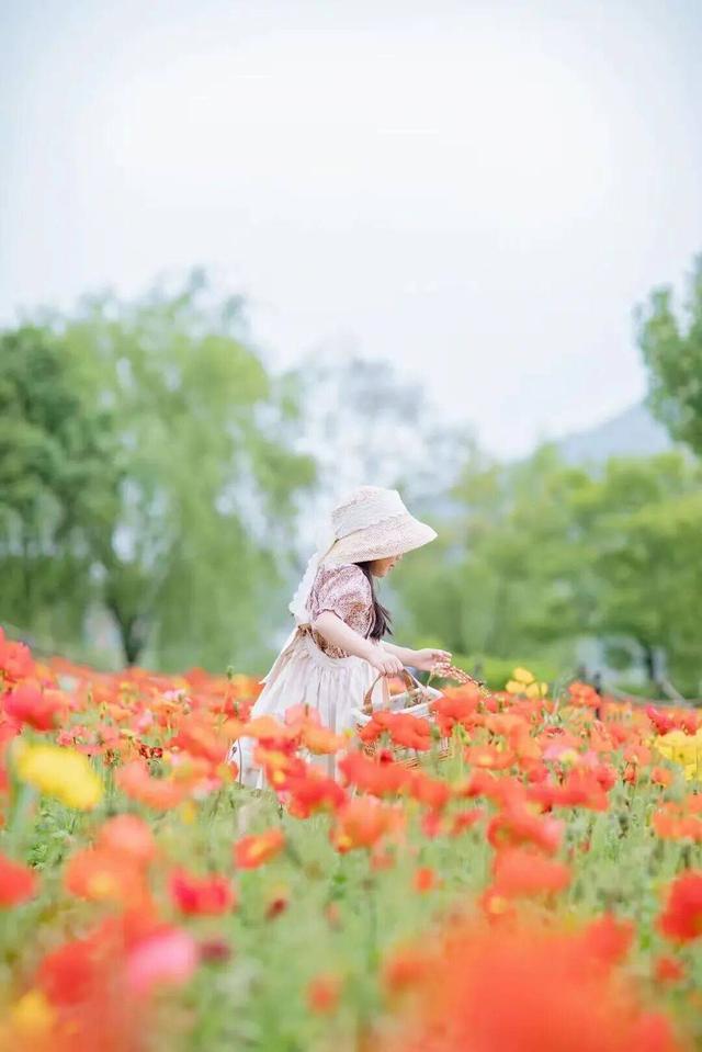 叮铃铃~上课啦！开学第一课，不在教室在金坛茅山！