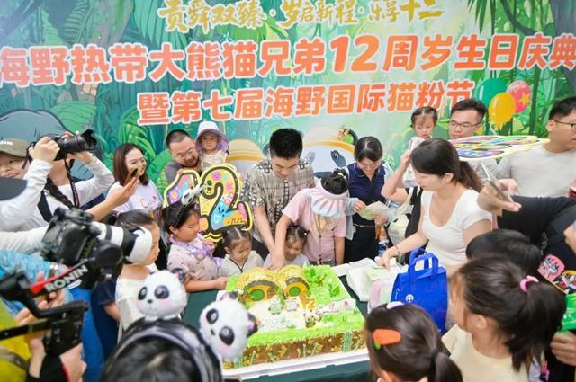 海野热带大熊猫兄弟十二周岁生日庆典暨第七届海野国际熊猫粉丝节盛大启幕！