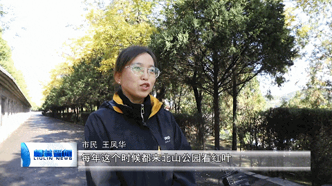 柳林北山公园秋意浓 市民漫步乐享“天然氧吧”