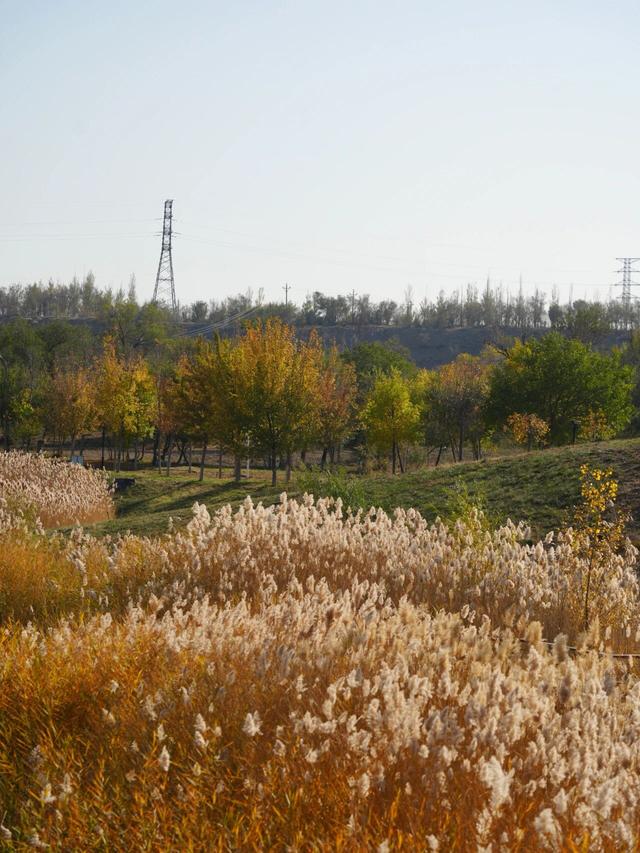 如何不“悲秋”？在乌鲁木齐 3 处湿地，放松一点