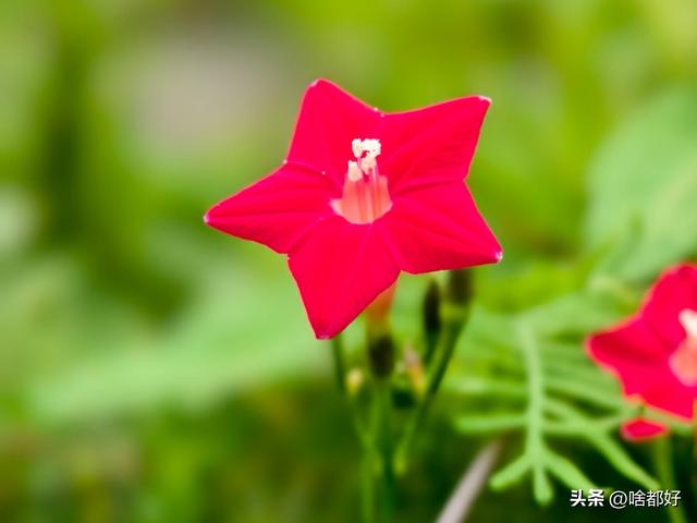 迟来的醒悟和道歉都太晚了，就让离别教你懂得珍惜和悔改吧