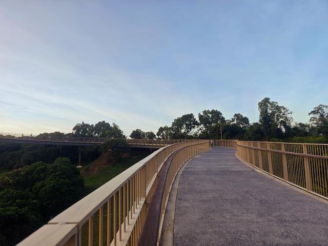 西丽湖国际科教城绿道，看霞飞满天，如梦似幻！长岭陂地铁C口