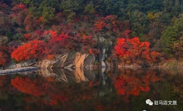 驻马店赏秋地图！这些地方太太太好看了