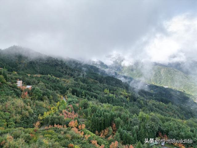 四川行(73)什邡红枫岭徒步到钟鼎寺