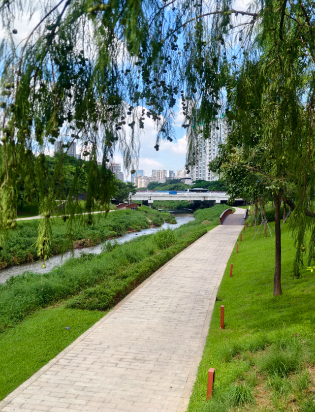 深圳又一生态长廊爆红，被称为现实版“魔法森林”，适合徒步遛娃