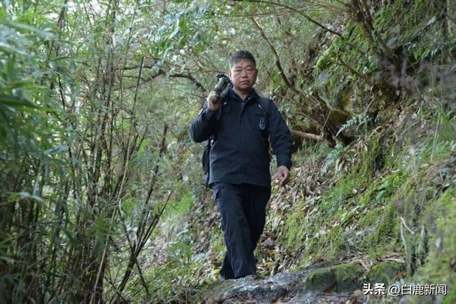龙虎山：这片鸟的乐土