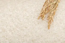 米价创20年新高！日本闹“米荒”，政府为何拒绝投放储备米？图片