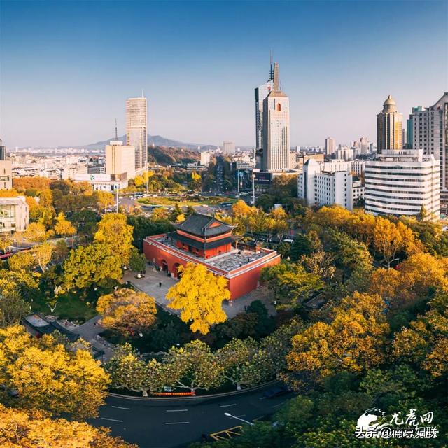 “含金量”渐满～南京的浪漫藏不住了！