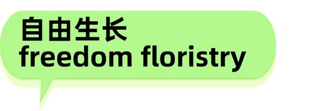 清凉一夏海南度假 | 谁懂啊！海口这三条街直接封神，把 “旧时光” 熬成了“顶流”