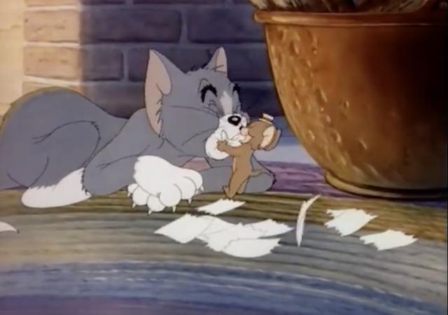 什么鬼？猫和老鼠居然有14个版本！