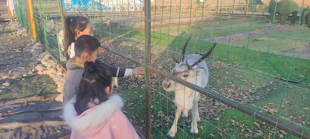 靖远冬日新地标，元旦水岸三合见，嗨翻整个冬天！