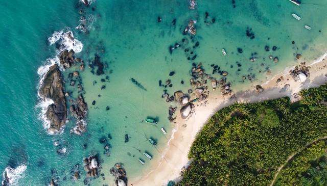 旅游人必看！2025国际盛会启幕，海南机遇不容错过