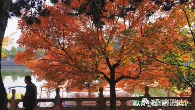 飞阅花都④丨漫步东郊公园 邂逅秋日风光 静享“天然氧吧”