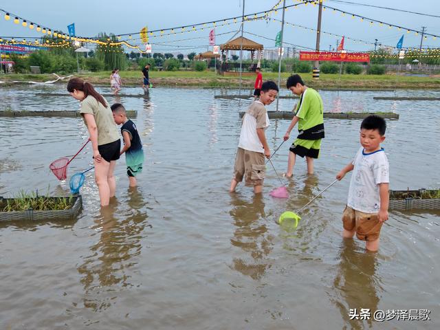 "鱼"悦盛夏 云梦陶楼庄园打造亲子避暑新体验