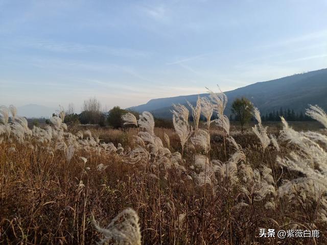 灞桥——这水，这柳