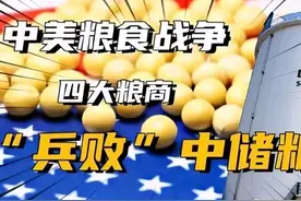 “中储粮”与“四大粮仓”的较量，重拳出击！16年谜团能否揭开？图片