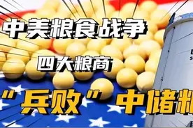 “中储粮”与“四大粮仓”的较量，重拳出击！16年谜团能否揭开？图片