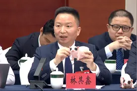 全国两会重庆代表团开放团组会议 | 人大代表林其鑫就重庆民营经济高质量发展答记者问图片
