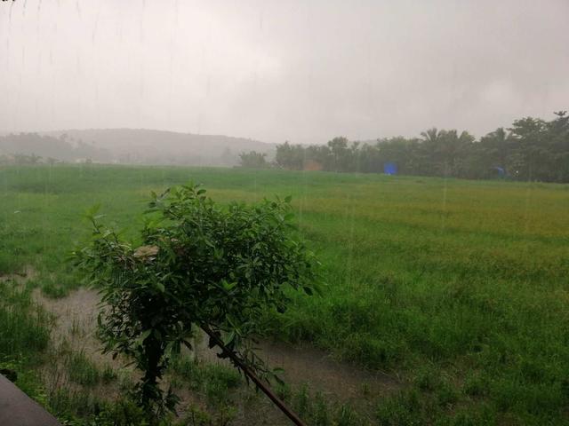 探访南印度果阿，最不像印度的印度城市