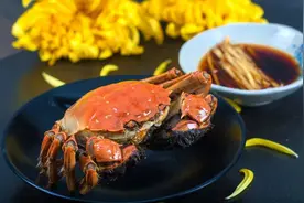 要说最懂吃蟹，还得是他图片