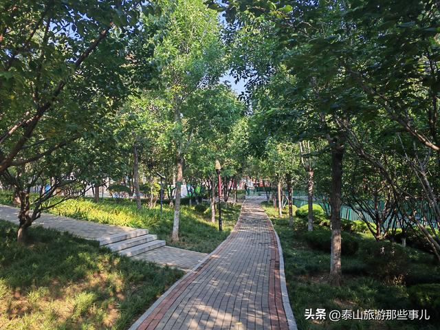 泰安：它是市颜值最高公园之一，紧邻“岱下桃源”，一个创意绝了