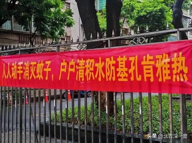 佛山与蚊子缠斗的一个月