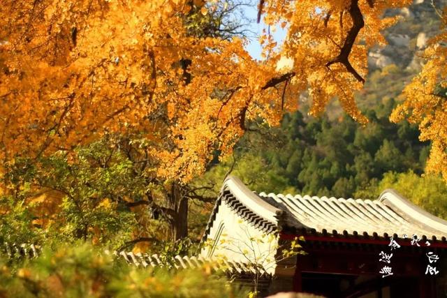 收好这份北京秋韵亲子地图！徒步+骑行，和孩子一起出发吧！
