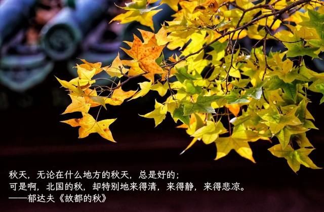来东城，寻觅那些美好文字里的秋天——