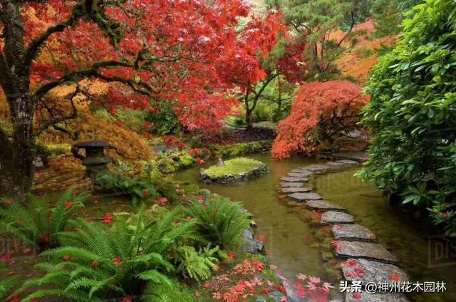 从矿坑废墟到园艺传奇：布查特花园华丽蝶变的百年传奇