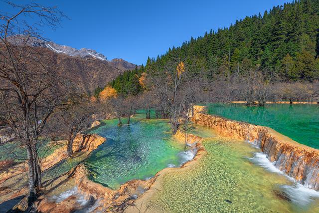 一泡尿“毁”了全家!男童尿进黄龙彩池，景区硬气通报:永久禁入