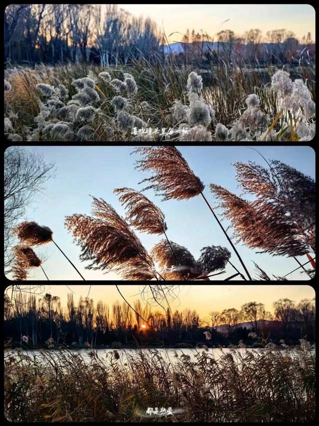 用电影的方式“打开”初冬！每一帧，都浪漫