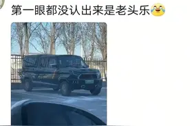 老头乐真是越造越大了，再不管管，估计要造航母了图片