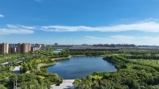 潍坊寿光文旅商融合盛夏消费季羊口会场盛大启幕