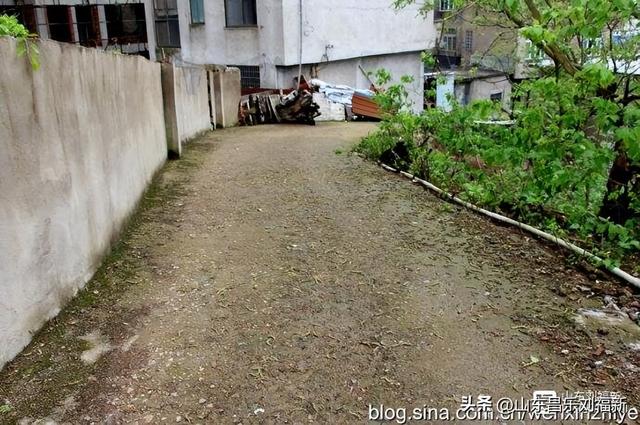 寻找敕国寺（江西之旅第五十七篇）