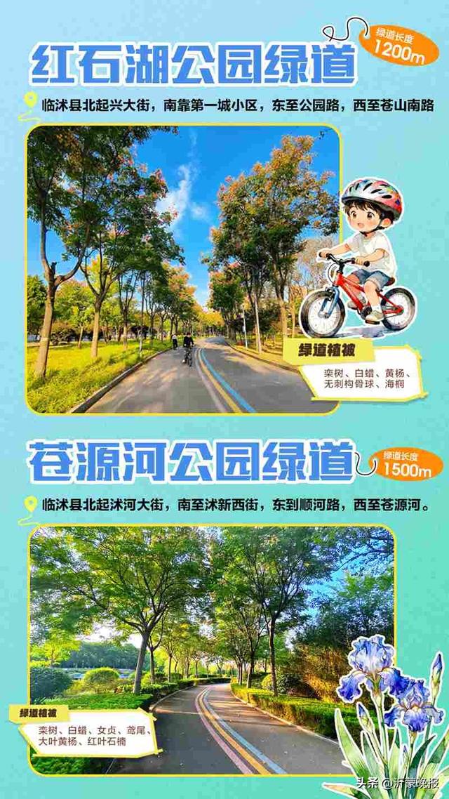 藏不住了！临沂35条诗意绿道，道道有风景，步步皆诗意