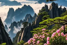 黄山山顶春夏秋冬不同季节美景美图，你最喜欢哪个季节图片