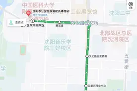 年龄70岁驾驶员延期换证三力测试2024年最新图片