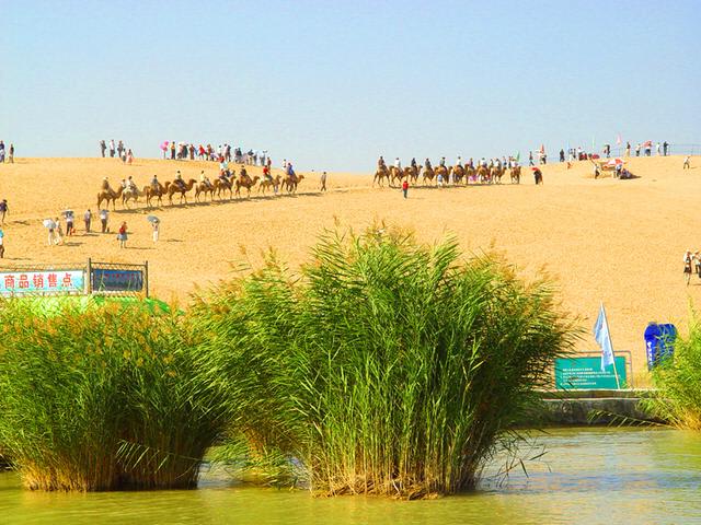 宁夏旅游：从沙漠绿洲到贺兰山岩画揽胜（图）