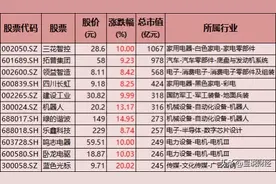 人形机器人全线爆发！资本入局，机构大幅加仓增持，龙头股出炉图片