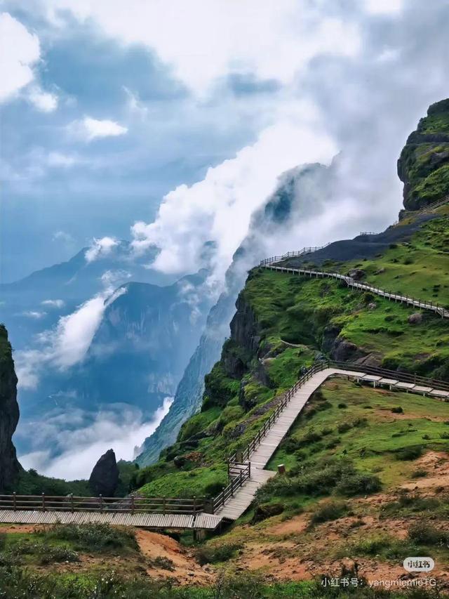 全国避暑游增速 TOP10，昭通上榜！央媒点赞其清凉生活