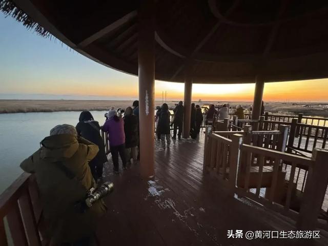 【黄河口生态旅游区】这里不止有“鸟浪” ！