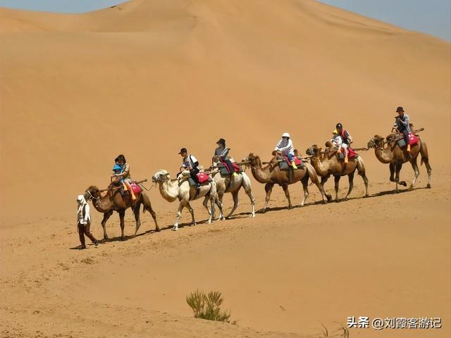 宁夏必去的6个5A景区！每一个都值得专程而来，收藏慢慢玩！