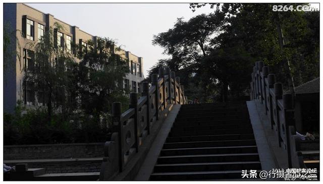 山东行游影记（17）—济南山东大学（四）