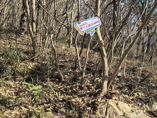 南京第二次到镇江武岐山空青山郊野徒步