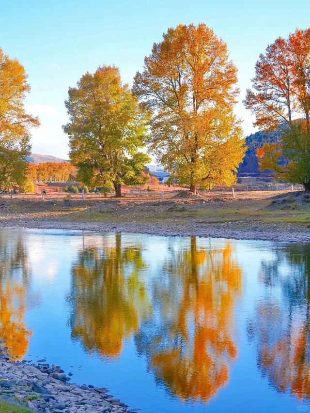 停停停！甘孜秋天美得太快了我看不过来