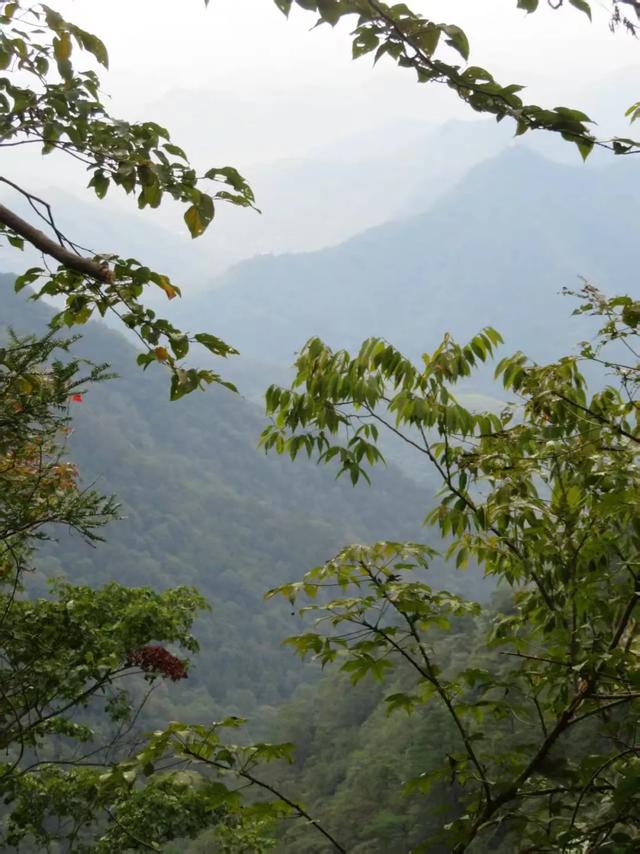 徒步的十大功劳