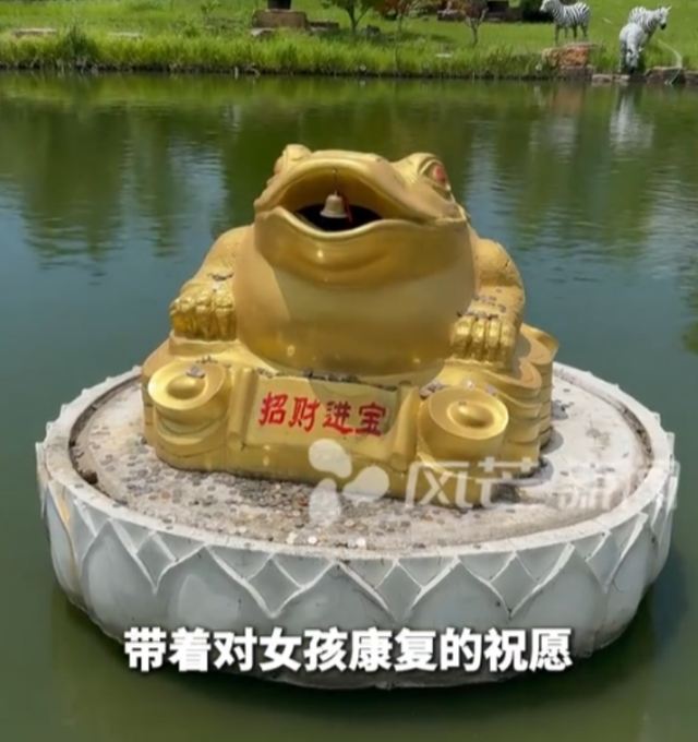 捞光许愿池硬币捐款后续！许愿池成打卡地，游客专门过来投硬币！