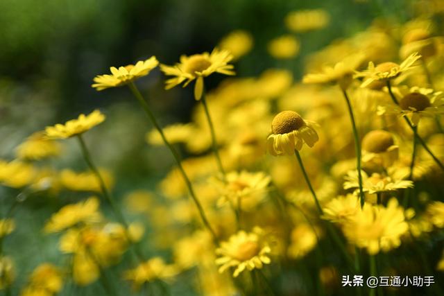 尼康Nikkor Z 35mm f/1.4镜头评测——光圈并非越大越好